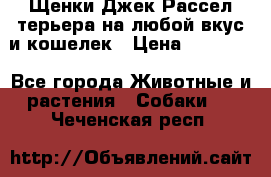 Щенки Джек Рассел терьера на любой вкус и кошелек › Цена ­ 13 000 - Все города Животные и растения » Собаки   . Чеченская респ.